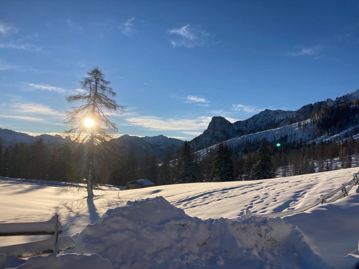 Renoviertes Apartment Mit Terrasse An Der Piste Mit Kostenlosen Wifi Carezza al Lago Buitenkant foto